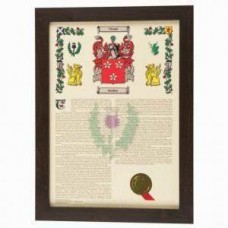 Framed coat of Arms and Surname History Print